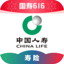 会长的小理事小说